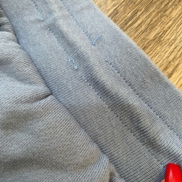 Champion Reverse Weave Periwinkle Blue Womens Shorts XXL - Picture 9 of 11